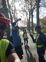 randoRoller20251115 mini